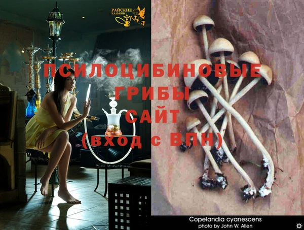 спиды Баксан